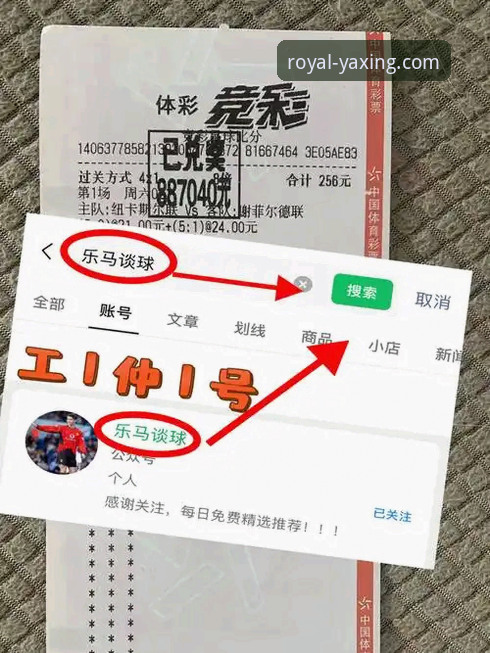 亚星体育平台：官方正版下载 vs 第三方渠道获取，安全与风险全面对比